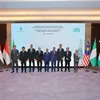 وزير البترول 