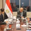 وزير الكهرباء