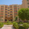 الفاعلية 