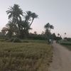 جانب من الطريق 