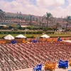 استعدادات الإسكندرية لمشاهدة مباريات كأس العالم