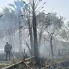 الحريق