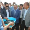 القاء الذريعة السمكية ببنى سويف 
