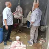 المنوفية 