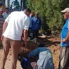 المنوفية 