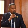 النائب محمد حمزة، عضو مجلس الشيوخ