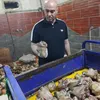 تموين مطروح 