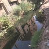 تنظيف مياه الترع