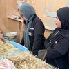 جامعة مدينة السادات 
