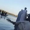 جانب من البحث