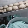 جانب من الحملة 