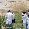 جانب من الدورة التدريبية 