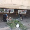 جانب من المبادرة