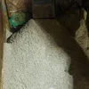 ضبوطات 