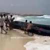 قارب هجرة غير شرعية بمطروح 
