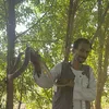 وحيد هاشم مع الافعي الكوبرا 