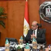 وزير الاستثمار 