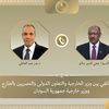 وزيرا خارجية مصر والسودان