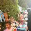 الفاعلية