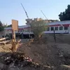 صور من الفيديو المتداول 
