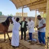 الفحص 