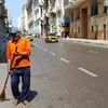 أعمال النظافة في الإسكندرية 