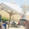 إسدال الستار على منافسات الكرة الشاطئية بأولمبياد الشركات الـ59 ببورسعيد