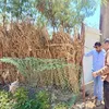 الاستجابة