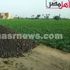 البودريت كارثة بيئية تهدد المواطنين بالقصاصين الجديدة 