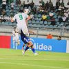 المصري