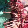 المضبوطات