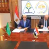 المنوفية 