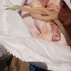 المنوفية 