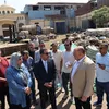 المنوفية 