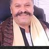 المنوفية 