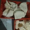 جانب من الضبطيات
