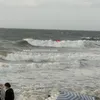 شواطئ الإسكندرية 