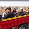 عربات نقل المواطنين 