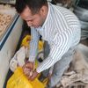 صحة القليوبية