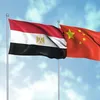  مصر والصين