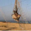 موسم الطيور المهاجرة بمطروح 
