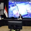 وزارة الاستثمار 