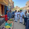 الفاعلية 