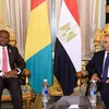 وزير الخارجية يلتقي وزير التعاون الدولي والتخطيط بغينيا