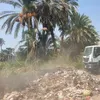 جانب من إزالة القمامة 