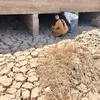 متابعة مخرات السيول