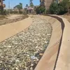 جانب من الترعه 
