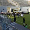 وي ولا فيينا 