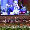 الرئيس السيسي في تجمع البريكس