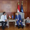الفريق أسامة ربيع 